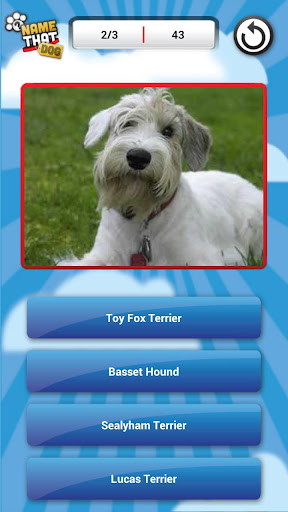 Name That Dog Free截图1