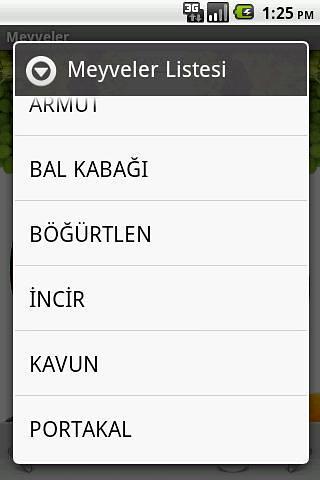 Meyveler截图3