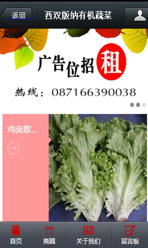 西双版纳有机蔬菜截图4