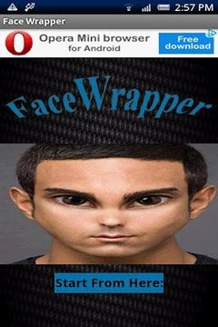 Face Wrapper截图