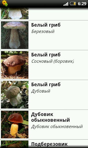 蘑菇目录截图1