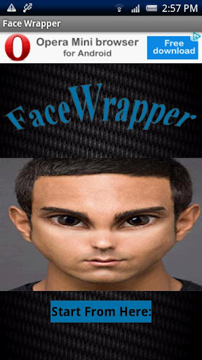 Face Wrapper截图1