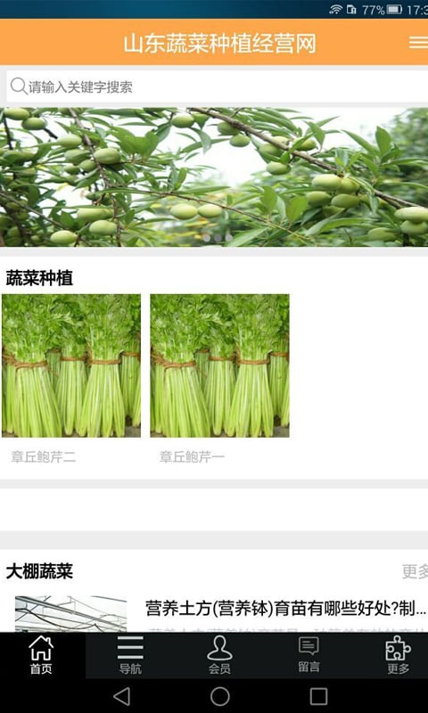 山东蔬菜种植经营网截图1