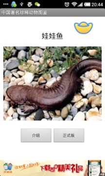 中国著名珍稀动物图鉴截图