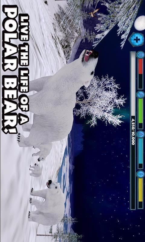 北极熊截图4