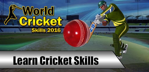 World Cricket Skills 2016 Cup截图2