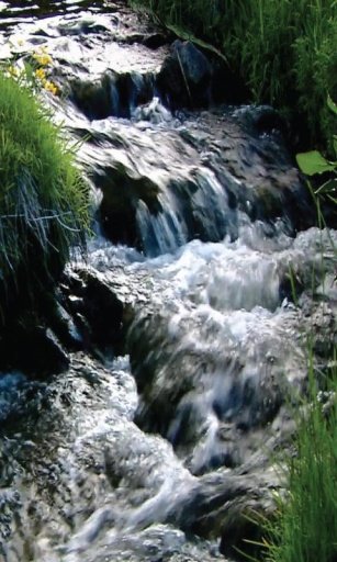 flowing river live wallpaper截图5