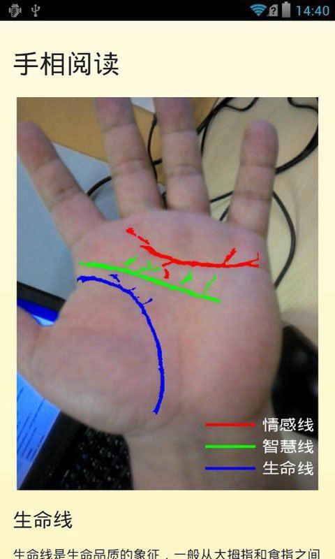 手相算命趣截图3