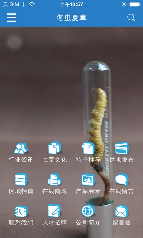 冬虫夏草截图2