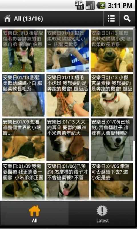 ILANshelter adoption截图1