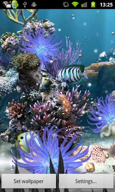 Coral Reef Lite Free Aqua Live截图1