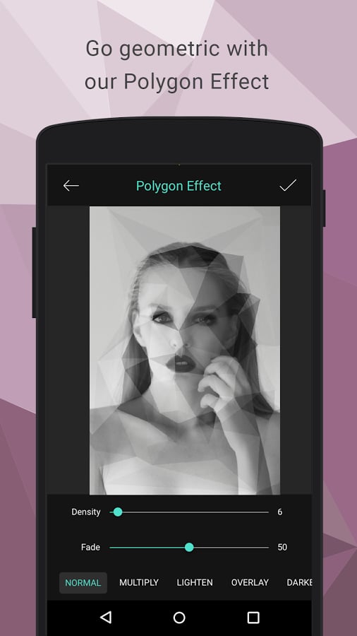 多边形效果:Polygon Effect截图2