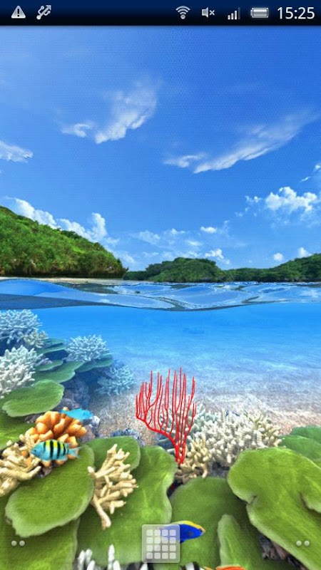 Tropical Island360&deg;Trial截图4