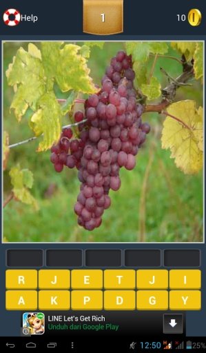 Guess Fruit Quiz截图3