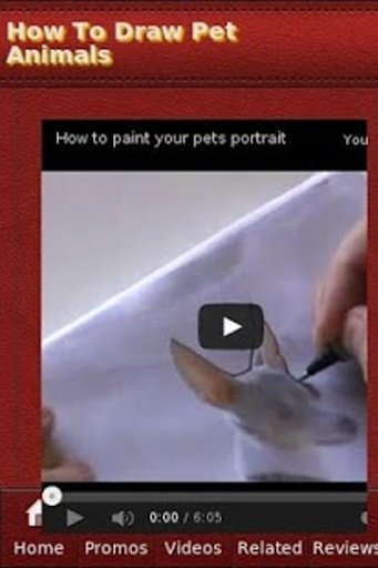 How To Draw Pet Animals截图2