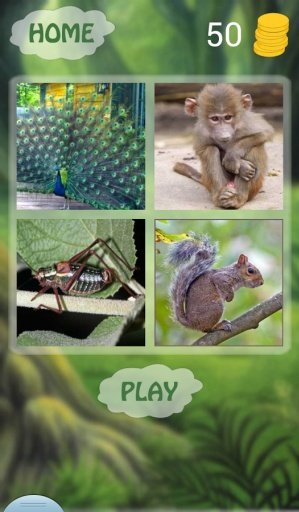 Guess Animal Sounds截图4