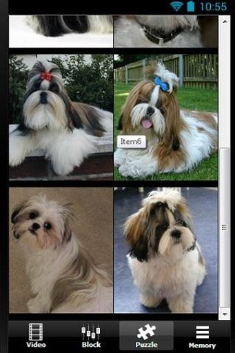 The Talking Shih Tzu Dog Games截图5