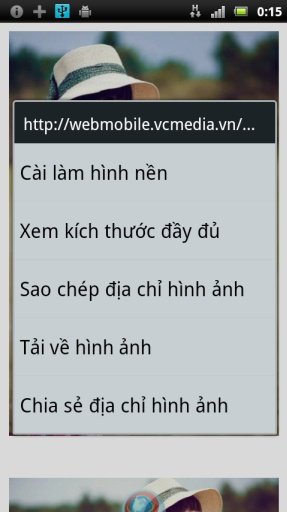 Vina Browser @Tr&igrave;nh Duyệt Việt截图1