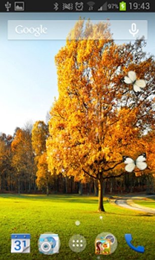 Season Tree Live wallpaper截图4