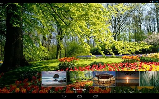 Nature 1 - Wallpapers截图1