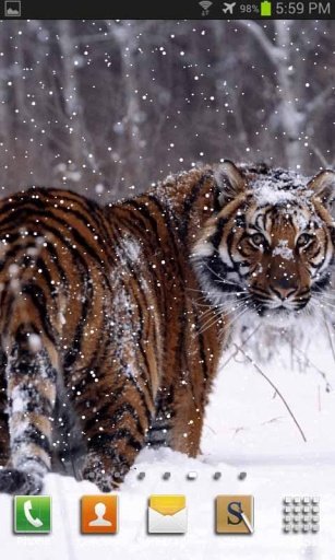 Snow Tiger Live Wallpaper截图2