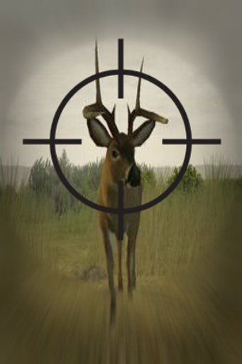 Deer Shooting Hunter截图2