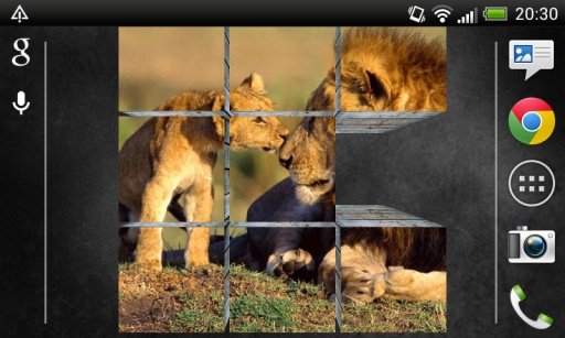 Lions Live Wallpaper 3D HD截图2