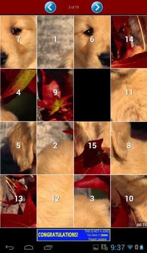 Dog Puzzle截图7