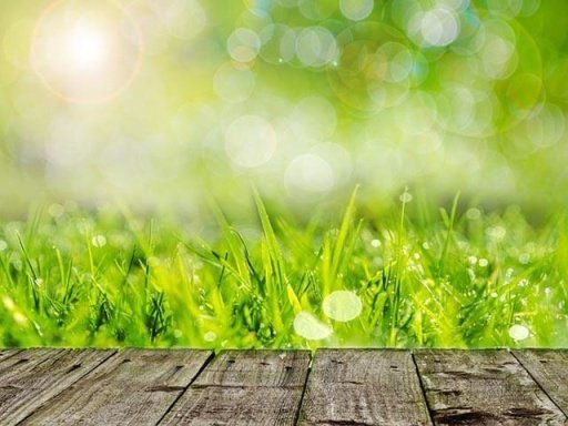 Grass Wallpapers截图1