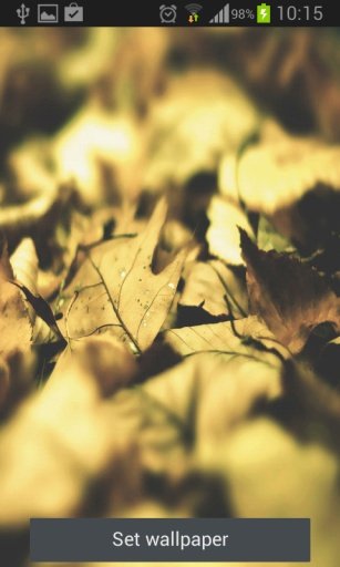 Leaf Live wallpaper截图9