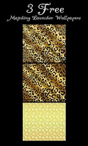 Gold Black Leopard Star Theme截图1