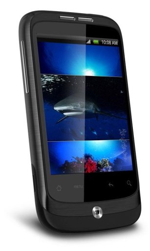 Hungry Shark HD Live Wallpaper截图2