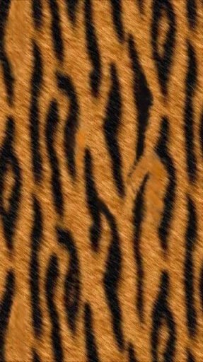 Tiger Print Wallpapers截图2