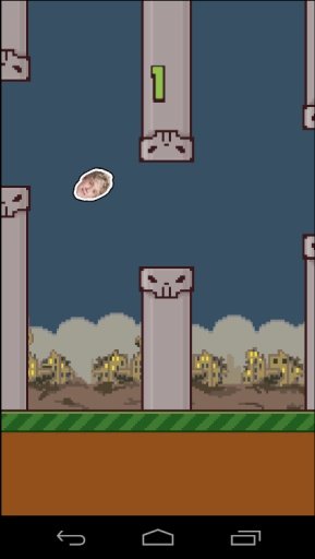 Niall Horan Floppy Birds Game截图4