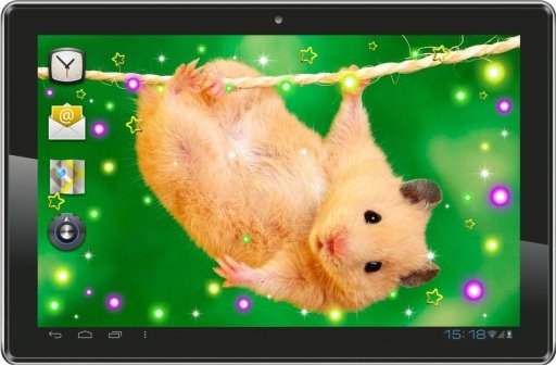 Hamster Pet live wallpaper截图5
