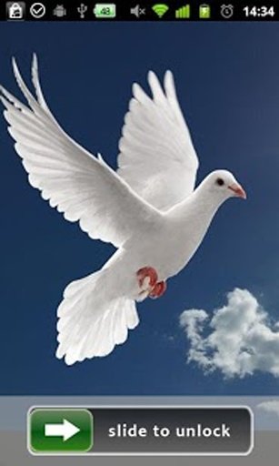 Peace Dove Lock Screen截图2