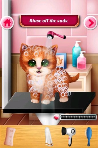 Cute Cat Pet Prettify截图3