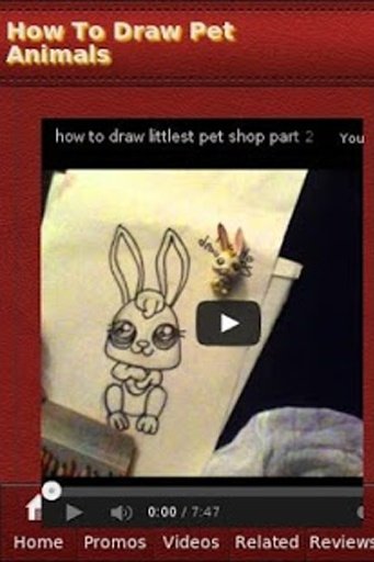 How To Draw Pet Animals截图7