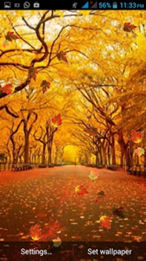 Galaxy S5 Autumn HD Wallpaper截图1