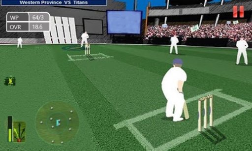 Play Cricket Online截图3