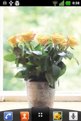 Roses SlideShow Live Wallpaper截图4