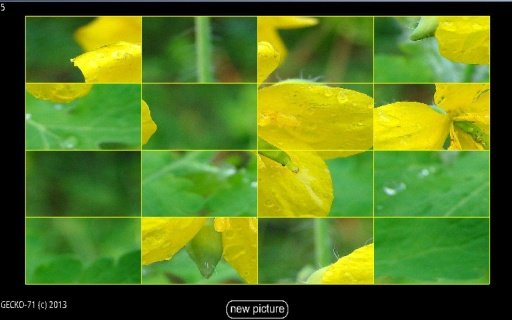 Picture Puzzle HD截图2