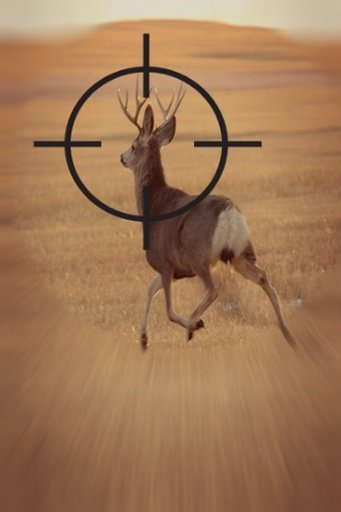 Deer Shooting Hunter截图1