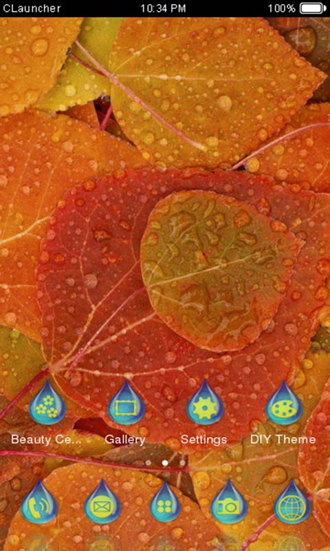 Rain Drop Theme截图3