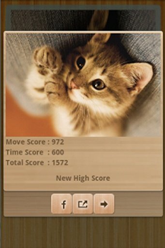 Funny Cats Puzzle &amp; Wallpapers截图1