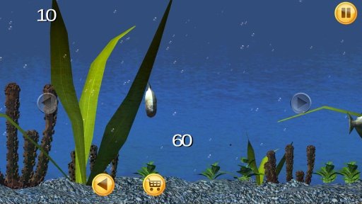 Piranha Aquarium 3D截图1