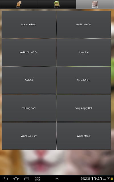 Funny Cat Sounds截图7