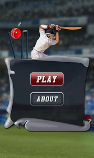 Cricket Game截图8