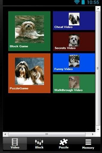 The Talking Shih Tzu Dog Games截图8