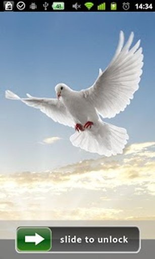 Peace Dove Lock Screen截图1